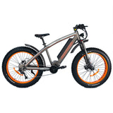 Wildtan M-5600 Mid-Drive E-Bike 1000W Hunting Electric Fat Bike